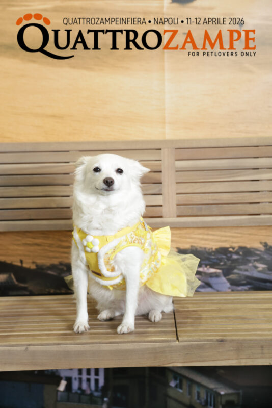 Concorso Fotografico - QuattroZampe in Fiera - Napoli - Aprile 2026