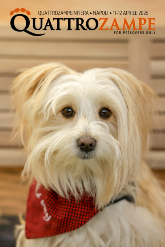 Concorso Fotografico - QuattroZampe in Fiera - Napoli - Aprile 2026