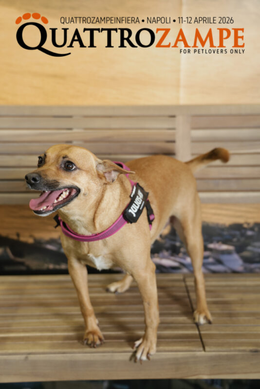 Concorso Fotografico - QuattroZampe in Fiera - Napoli - Aprile 2026