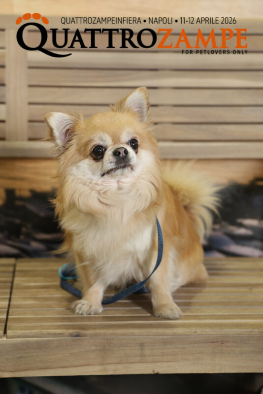 Concorso Fotografico - QuattroZampe in Fiera - Napoli - Aprile 2026
