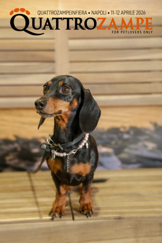 Concorso Fotografico - QuattroZampe in Fiera - Napoli - Aprile 2026