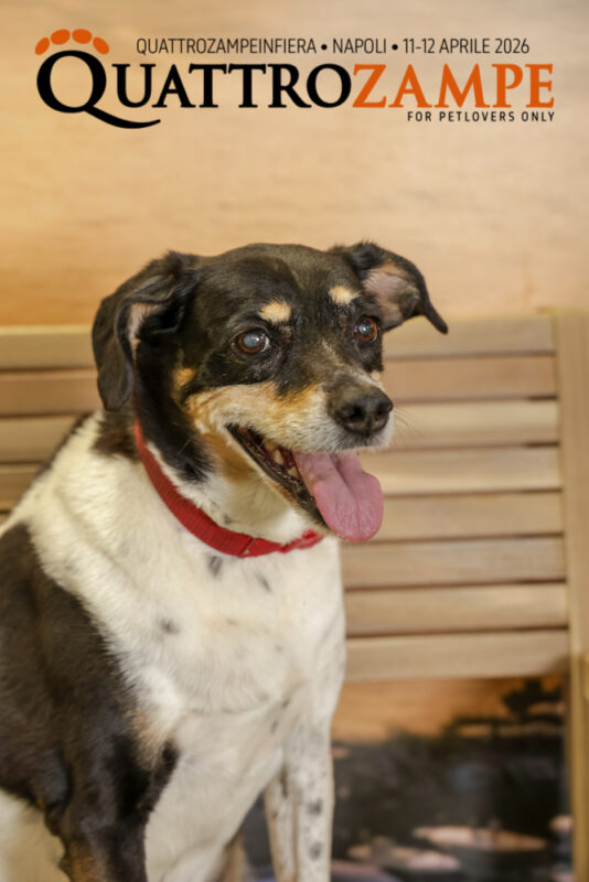 Concorso Fotografico - QuattroZampe in Fiera - Napoli - Aprile 2026