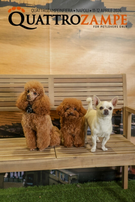 Concorso Fotografico - QuattroZampe in Fiera - Napoli - Aprile 2026