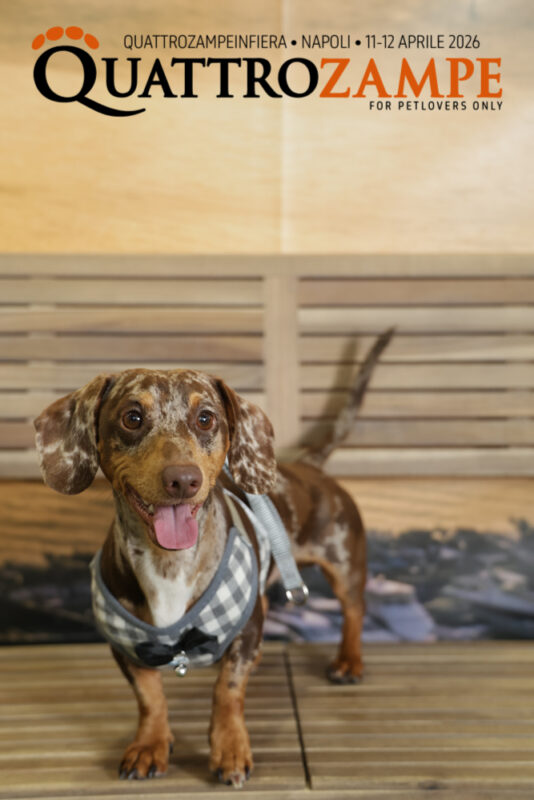 Concorso Fotografico - QuattroZampe in Fiera - Napoli - Aprile 2026