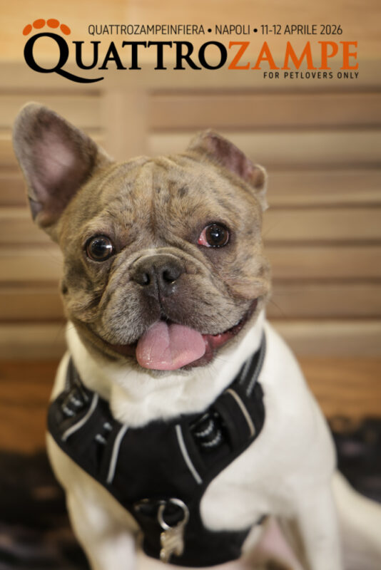 Concorso Fotografico - QuattroZampe in Fiera - Napoli - Aprile 2026