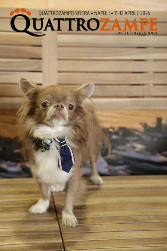 Concorso Fotografico - QuattroZampe in Fiera - Napoli - Aprile 2026
