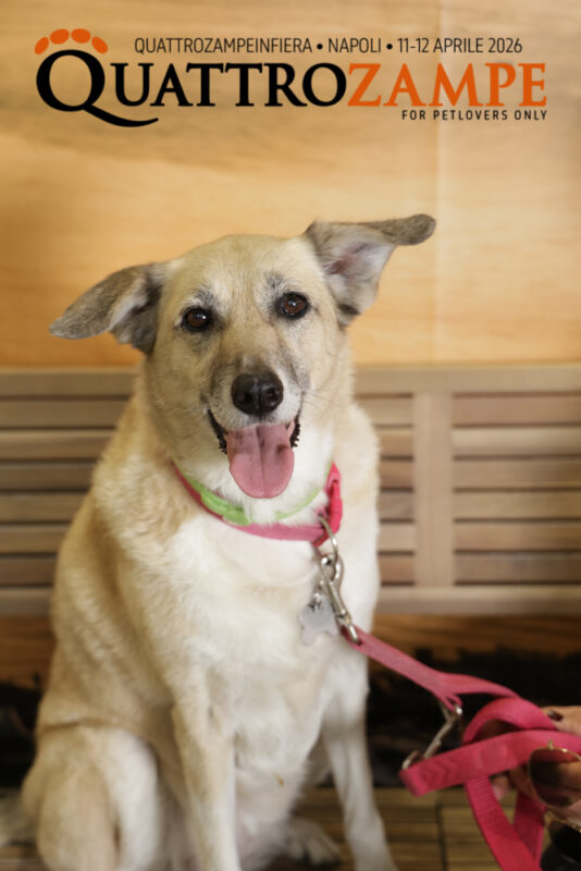 Concorso Fotografico - QuattroZampe in Fiera - Napoli - Aprile 2026