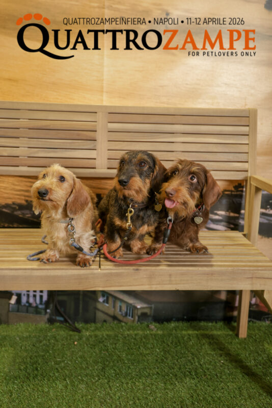 Concorso Fotografico - QuattroZampe in Fiera - Napoli - Aprile 2026