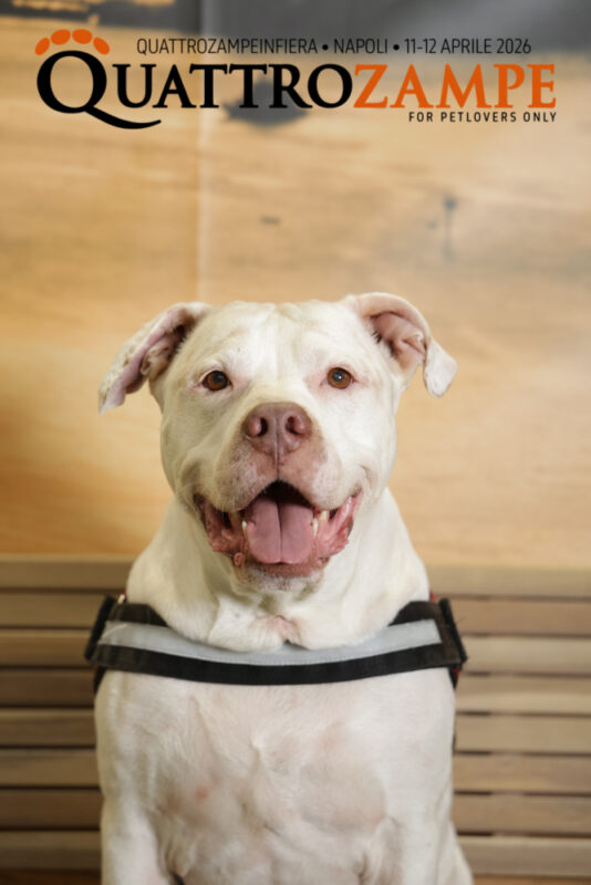 Concorso Fotografico - QuattroZampe in Fiera - Napoli - Aprile 2026