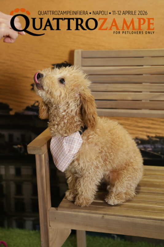 Concorso Fotografico - QuattroZampe in Fiera - Napoli - Aprile 2026