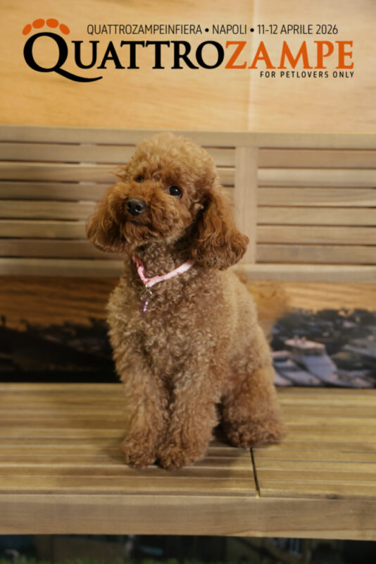 Concorso Fotografico - QuattroZampe in Fiera - Napoli - Aprile 2026