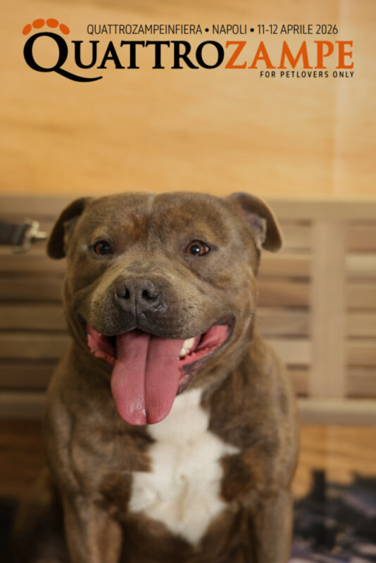 Concorso Fotografico - QuattroZampe in Fiera - Napoli - Aprile 2026