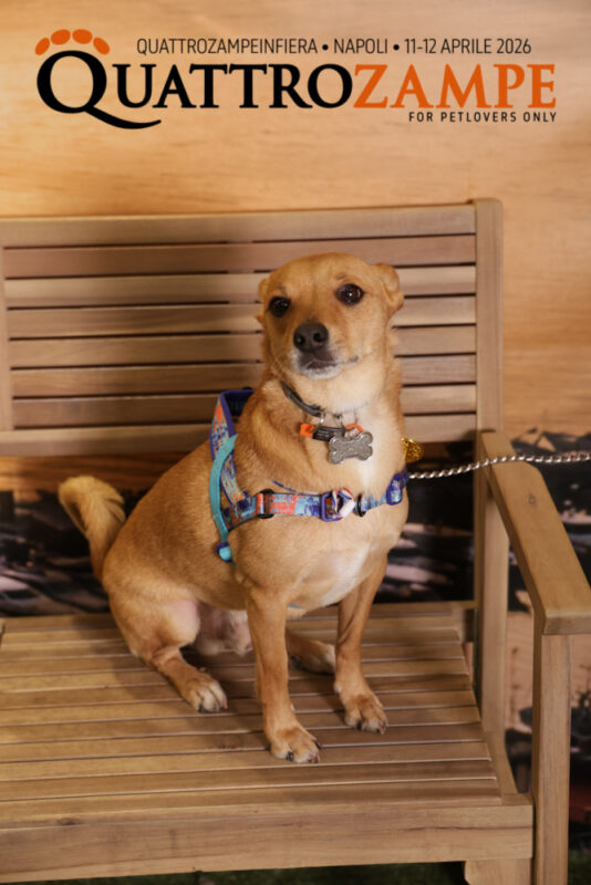 Concorso Fotografico - QuattroZampe in Fiera - Napoli - Aprile 2026