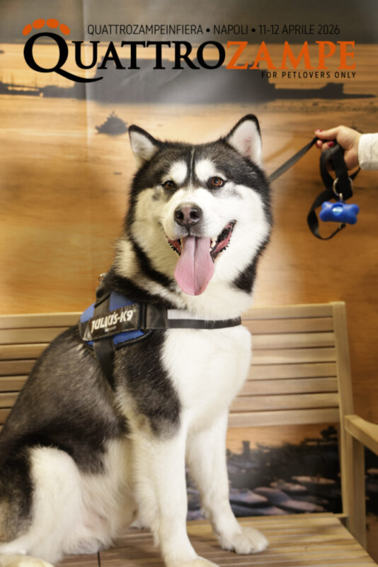 Concorso Fotografico - QuattroZampe in Fiera - Napoli - Aprile 2026