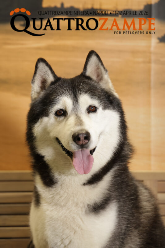 Concorso Fotografico - QuattroZampe in Fiera - Napoli - Aprile 2026