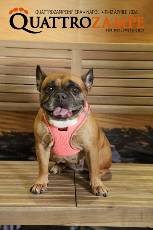 Concorso Fotografico - QuattroZampe in Fiera - Napoli - Aprile 2026