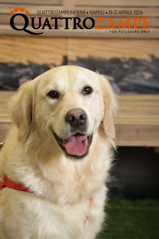 Concorso Fotografico - QuattroZampe in Fiera - Napoli - Aprile 2026