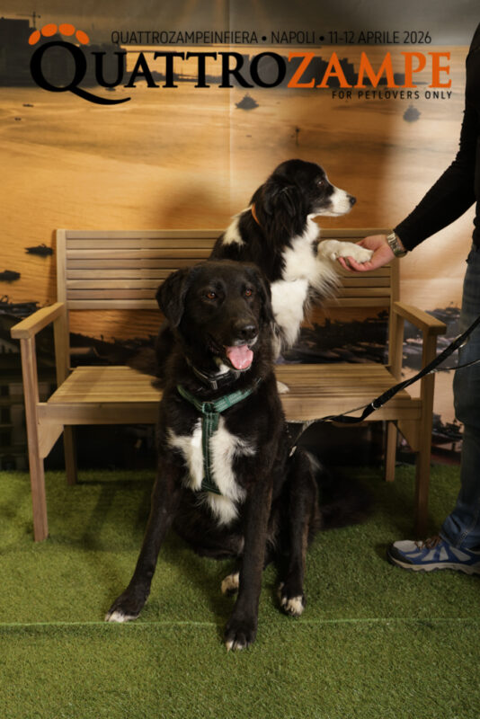 Concorso Fotografico - QuattroZampe in Fiera - Napoli - Aprile 2026
