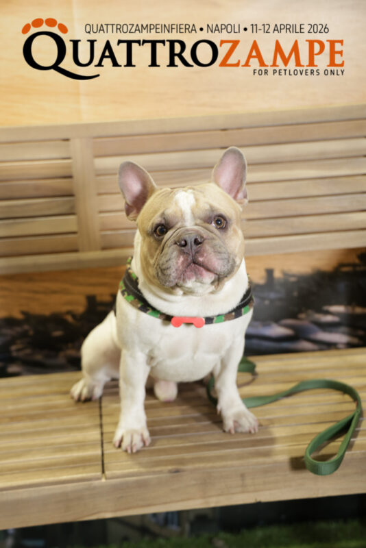 Concorso Fotografico - QuattroZampe in Fiera - Napoli - Aprile 2026