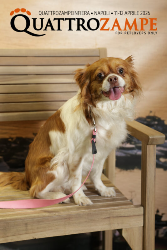 Concorso Fotografico - QuattroZampe in Fiera - Napoli - Aprile 2026