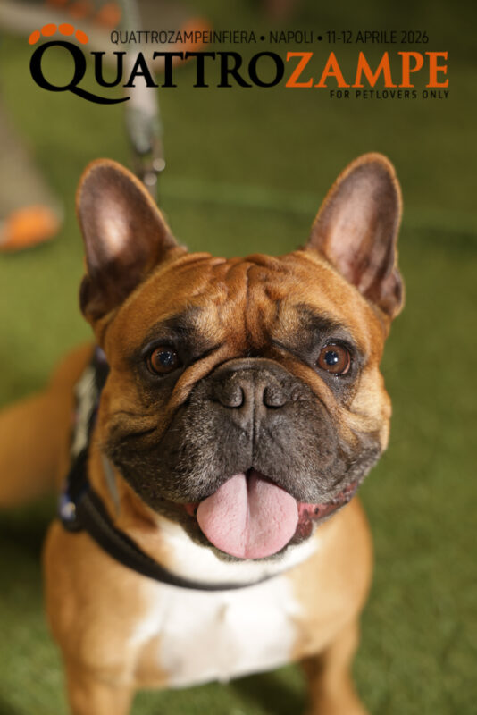 Concorso Fotografico - QuattroZampe in Fiera - Napoli - Aprile 2026