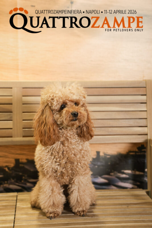 Concorso Fotografico - QuattroZampe in Fiera - Napoli - Aprile 2026