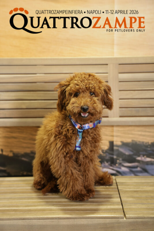 Concorso Fotografico - QuattroZampe in Fiera - Napoli - Aprile 2026