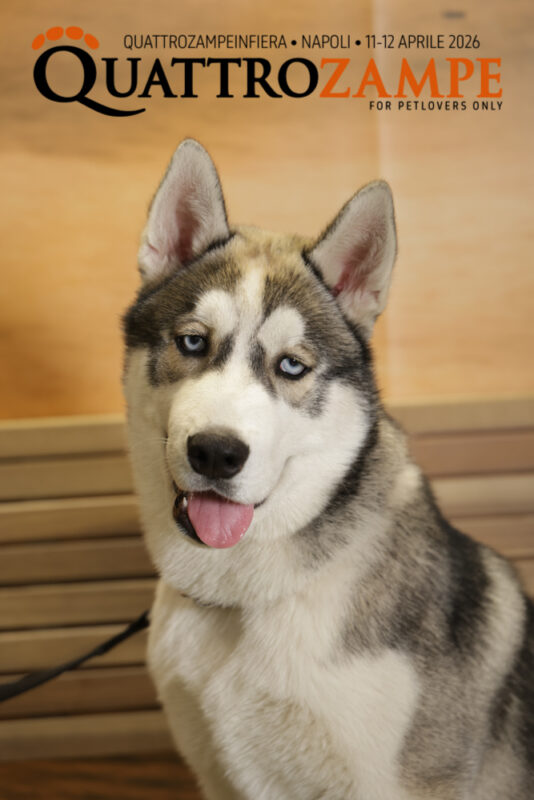 Concorso Fotografico - QuattroZampe in Fiera - Napoli - Aprile 2026
