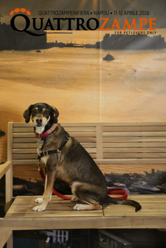 Concorso Fotografico - QuattroZampe in Fiera - Napoli - Aprile 2026