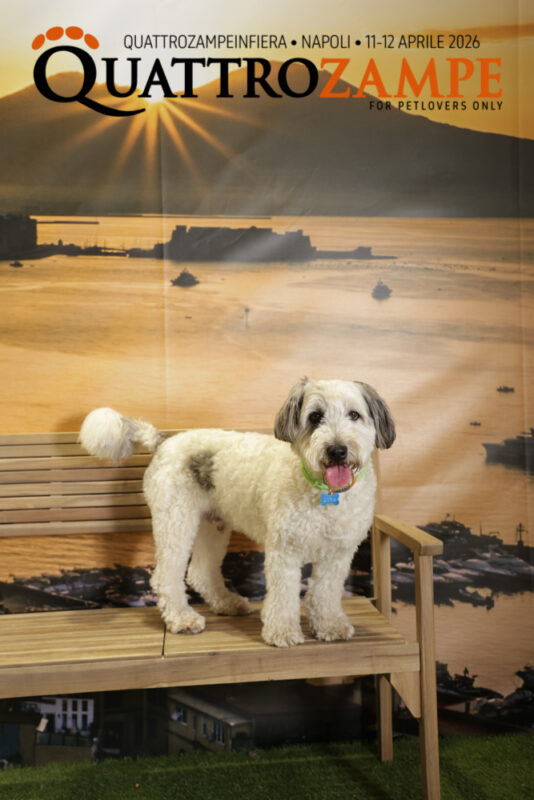 Concorso Fotografico - QuattroZampe in Fiera - Napoli - Aprile 2026