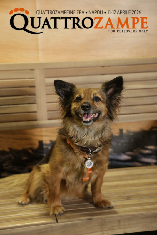 Concorso Fotografico - QuattroZampe in Fiera - Napoli - Aprile 2026