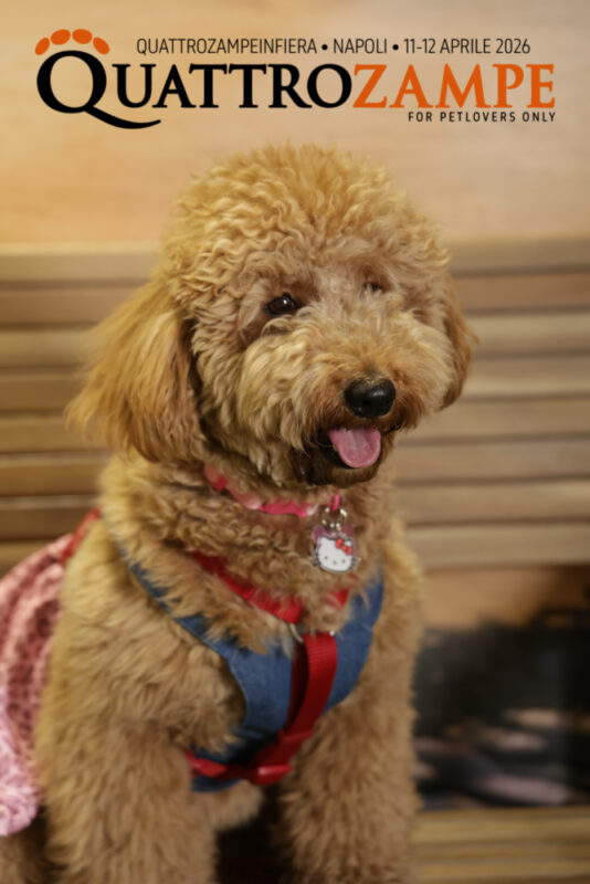 Concorso Fotografico - QuattroZampe in Fiera - Napoli - Aprile 2026
