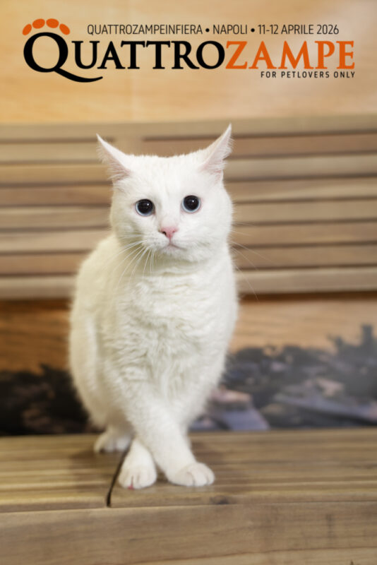 Concorso Fotografico - QuattroZampe in Fiera - Napoli - Aprile 2026