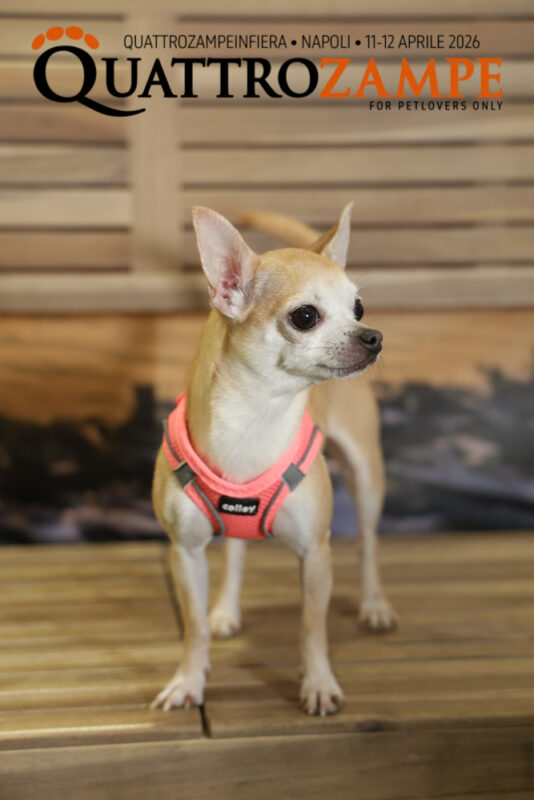 Concorso Fotografico - QuattroZampe in Fiera - Napoli - Aprile 2026