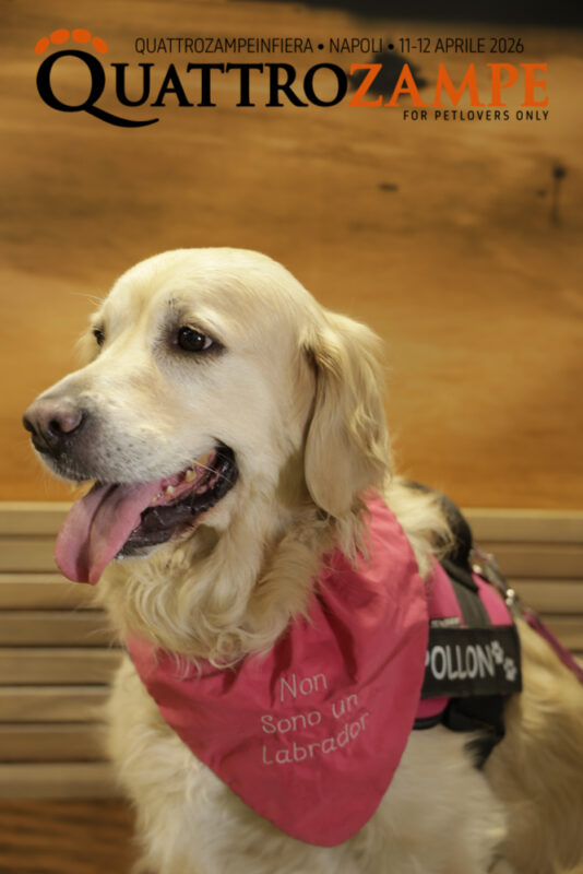 Concorso Fotografico - QuattroZampe in Fiera - Napoli - Aprile 2026