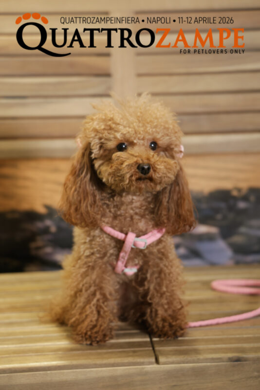 Concorso Fotografico - QuattroZampe in Fiera - Napoli - Aprile 2026