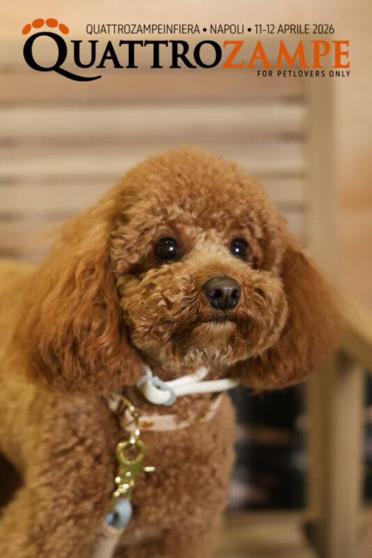 Concorso Fotografico - QuattroZampe in Fiera - Napoli - Aprile 2026