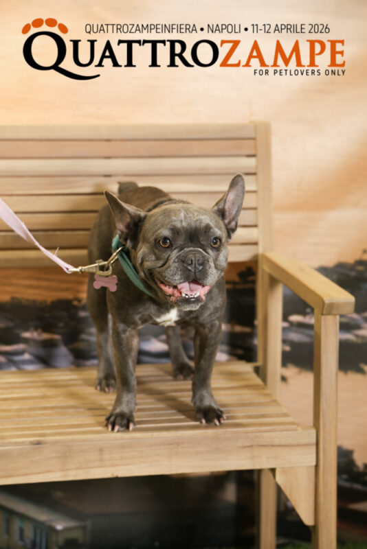 Concorso Fotografico - QuattroZampe in Fiera - Napoli - Aprile 2026