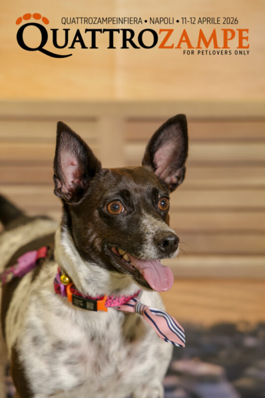 Concorso Fotografico - QuattroZampe in Fiera - Napoli - Aprile 2026