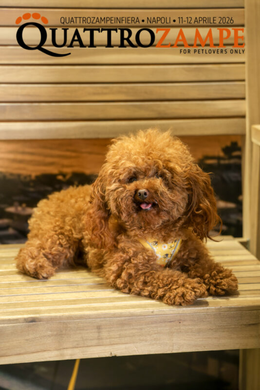 Concorso Fotografico - QuattroZampe in Fiera - Napoli - Aprile 2026