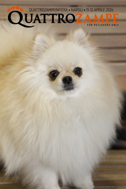 Concorso Fotografico - QuattroZampe in Fiera - Napoli - Aprile 2026