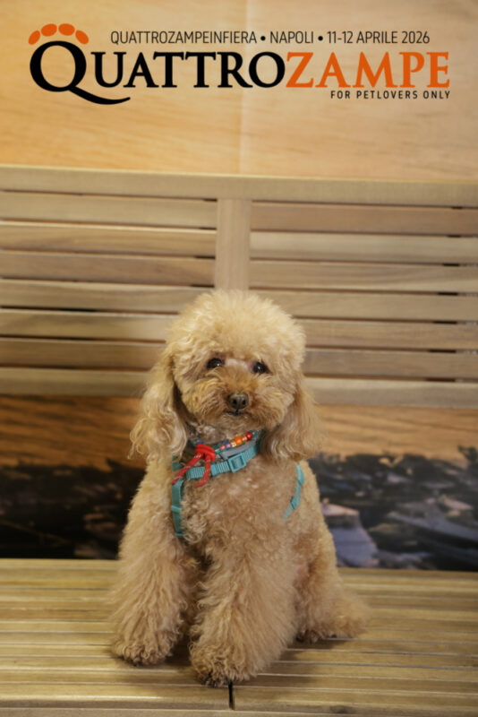 Concorso Fotografico - QuattroZampe in Fiera - Napoli - Aprile 2026