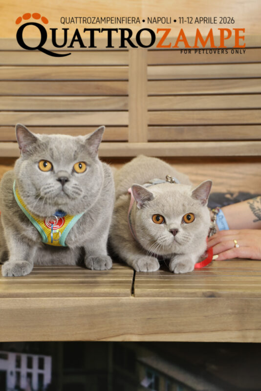 Concorso Fotografico - QuattroZampe in Fiera - Napoli - Aprile 2026
