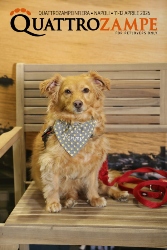 Concorso Fotografico - QuattroZampe in Fiera - Napoli - Aprile 2026