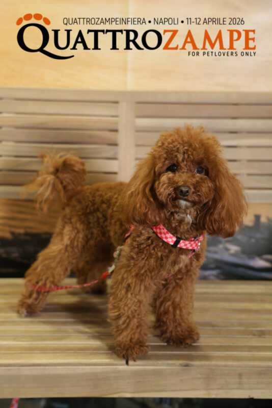 Concorso Fotografico - QuattroZampe in Fiera - Napoli - Aprile 2026