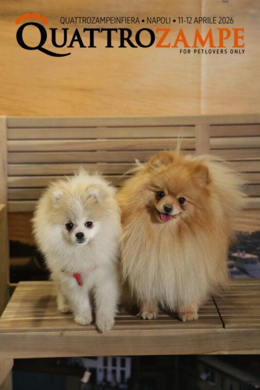 Concorso Fotografico - QuattroZampe in Fiera - Napoli - Aprile 2026