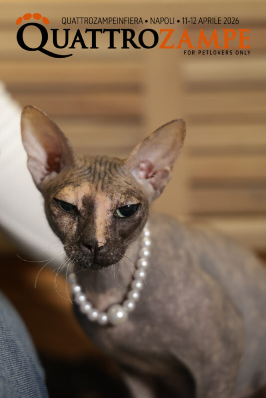Concorso Fotografico - QuattroZampe in Fiera - Napoli - Aprile 2026