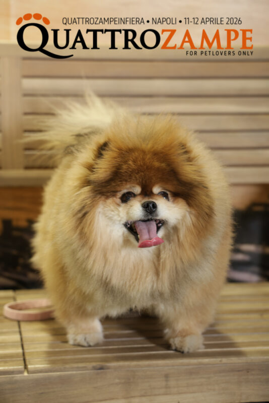 Concorso Fotografico - QuattroZampe in Fiera - Napoli - Aprile 2026