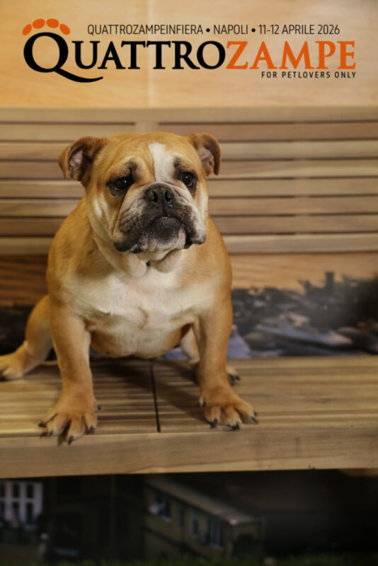 Concorso Fotografico - QuattroZampe in Fiera - Napoli - Aprile 2026
