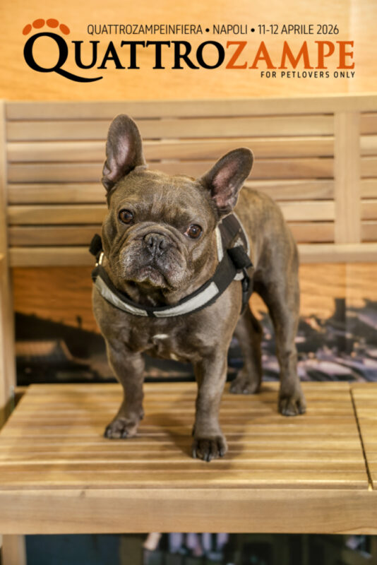 Concorso Fotografico - QuattroZampe in Fiera - Napoli - Aprile 2026